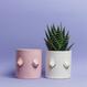 Smiley Boob Pot 