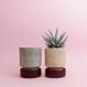 Hoff Pot - Set - Ø 8 cm