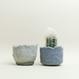 Eggshell Re-Planter #5