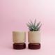 Hoff Pot - Set - Ø 8 cm