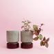 Hoff Pot - Set - Ø 8 cm