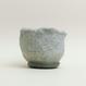 Eggshell Re-Planter #6