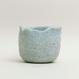 Eggshell Re-Planter #2