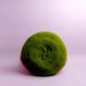 Nifty Knit Korb - Mumbua Mulandi
