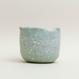 Eggshell Re-Planter #2