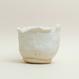 Eggshell Re-Planter #1