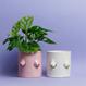 Smiley Boob Pot 