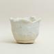 Eggshell Re-Planter #1