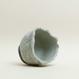 Eggshell Re-Planter #6