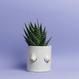 Smiley Boob Pot 