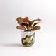 Unique Mix Wave Cup C2