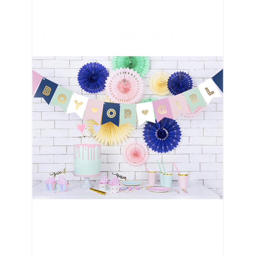1 Bannergirlande - Boy or Girl