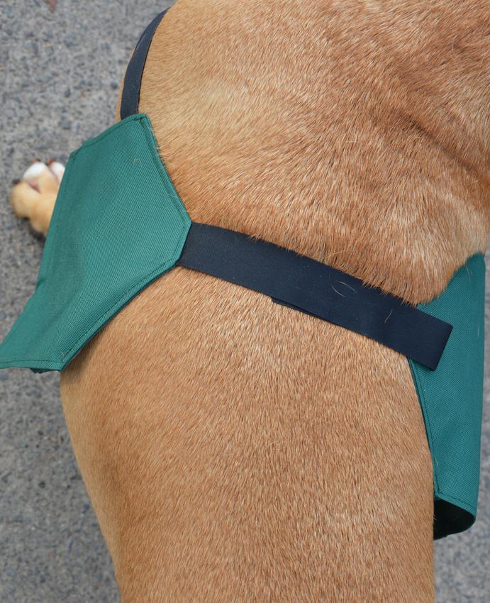 CleanWalk Zusatztasche