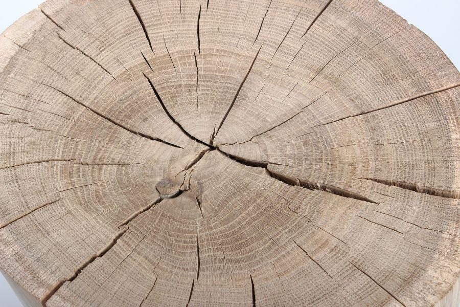 Holzhocker Baumstamm Deko online kaufen
