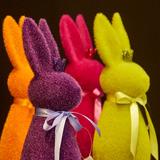 Hase m. Krone, orange