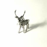 Hirsch-Charm