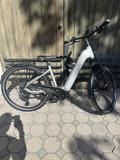 PEGASUS PREMIO EVO 10 Lite / Gr. 45 / Bosch CX / 800 Wh / Kiox 500 / Jubiläumsmodell 2025 / Gebrauchtrad