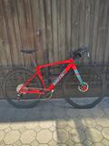 BMC Kaius 01 LTD PEACOCK SPIDER / Gr. 54 cm / SRAM Apex XPLR eTAP AXS