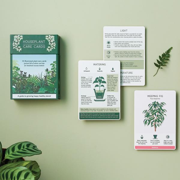 Zimmerpflanzen kaufen in Berlin - The Botanical Room