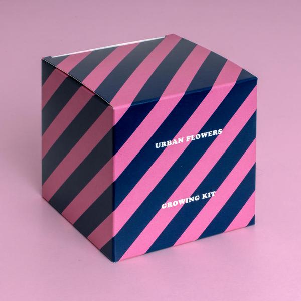 Wildblumen Samenbomben Geschenkset Design
