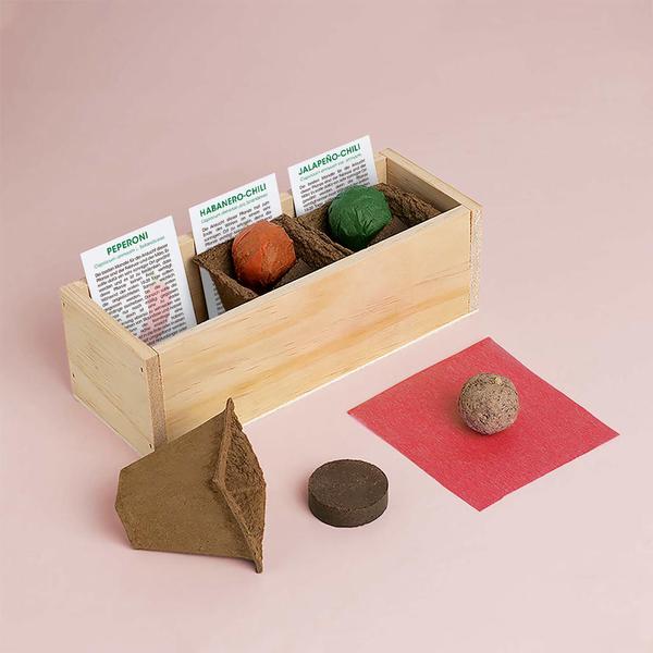 Anzuchtset Scharfe Gewürze DIY Geschenkidee für Kunden