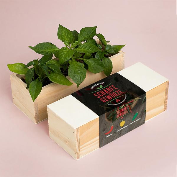 Anzuchtset Scharfe Gewürze DIY Geschenkidee für Kunden