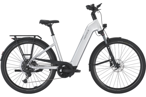 PEGASUS PREMIO EVO 10 Lite / Gr. 45 / Bosch CX / 800 Wh / Kiox 500 / Jubiläumsmodell 2025