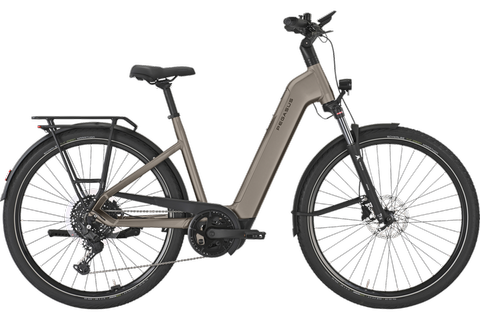 PEGASUS PREMIO EVO 10 Lite / Gr. 45 / Bosch CX / 800 Wh / Kiox 500 / Jubiläumsmodell 2025