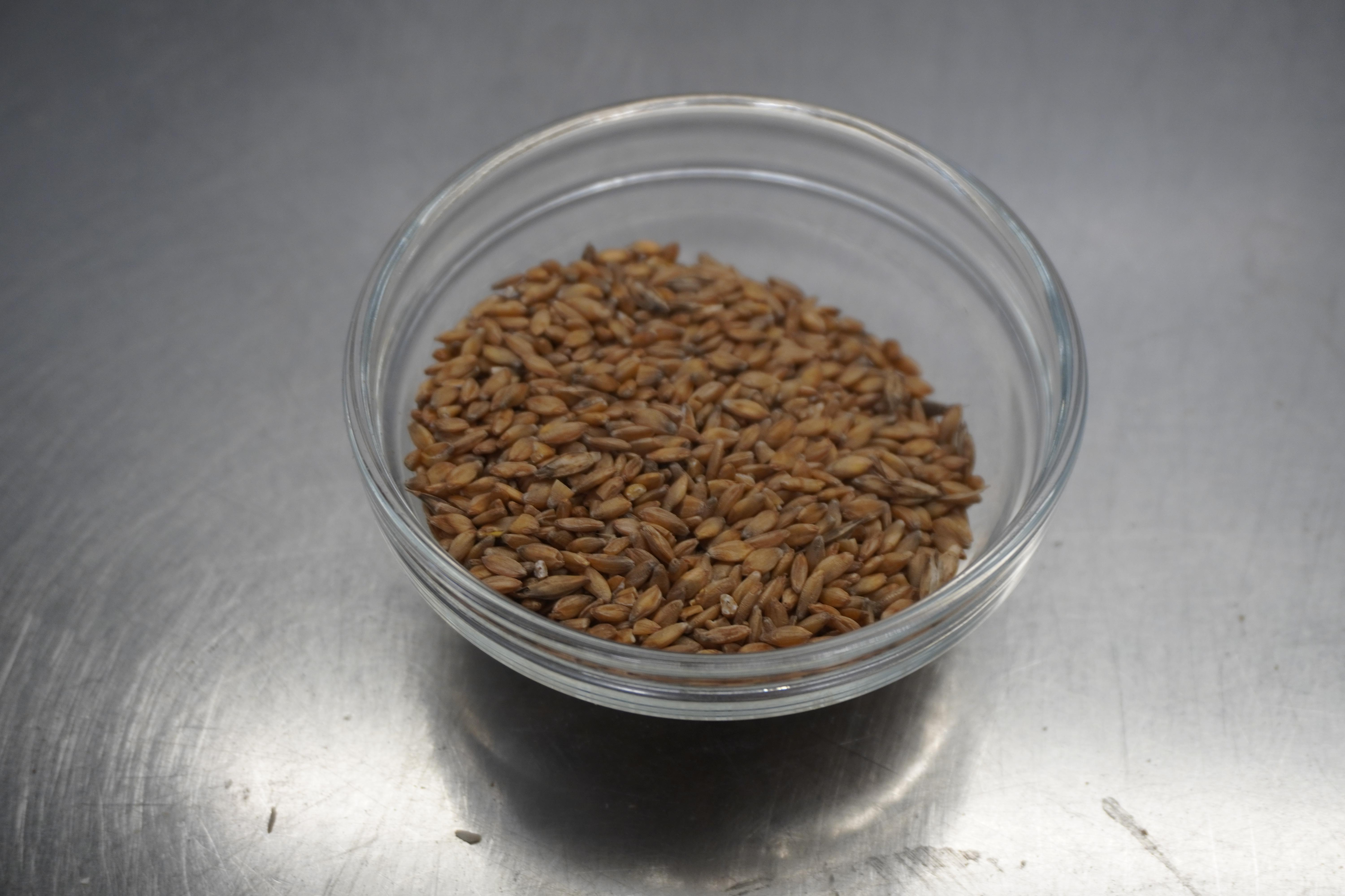 Körner vom Einkorn