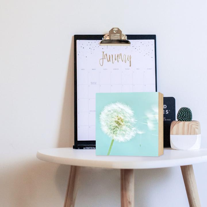 Pusteblume I - wunderschönes Holzbild 15x15x2cm