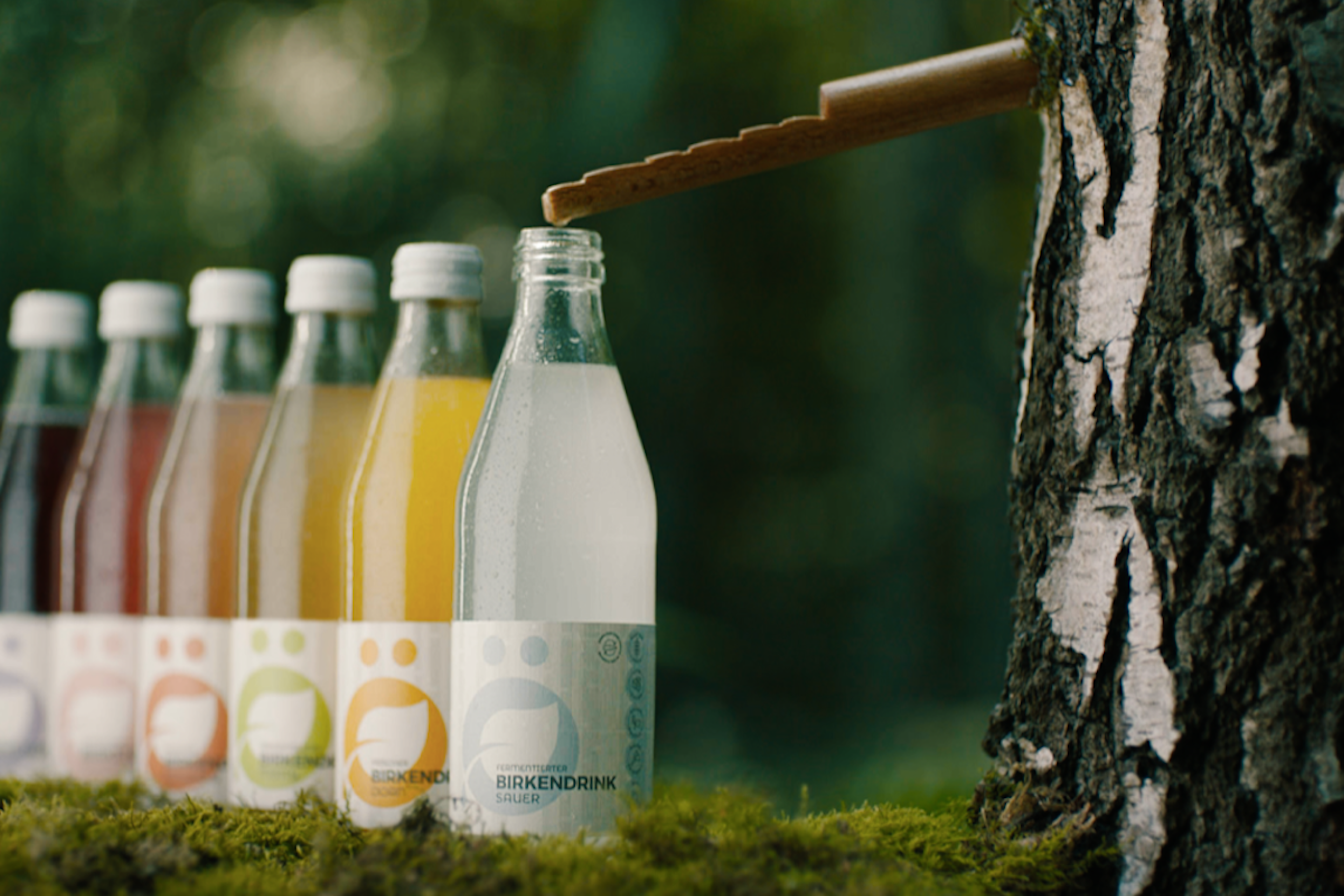 Birkensaft -   ein außergewöhnliches Firmengeschenk zu Weihnachten & Co
