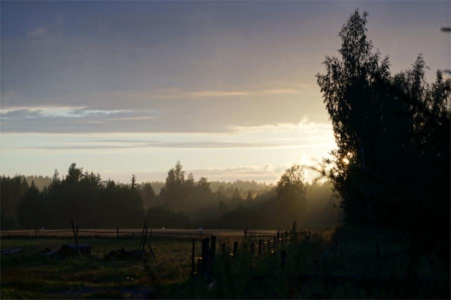 Impressionen aus Estland