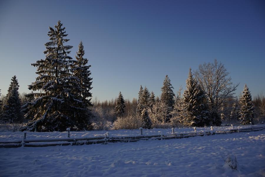 Inspirationen zu Weihnachten
