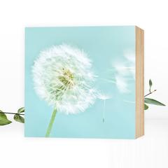 Pusteblume I - wunderschönes Holzbild 15x15x2cm