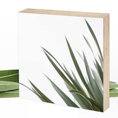 Fotografie Gras - grün - zauberhaftes Wunderpixel® Holzbild 15x15x2cm