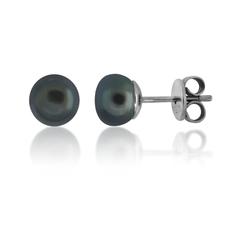 Gloriastar_Perl_Ohrstecker_Z_360010_5_OH