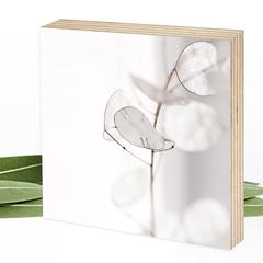 Fotografie Silberblatt - beige-weiß - zauberhaftes Wunderpixel® Holzbild 15x15x2cm