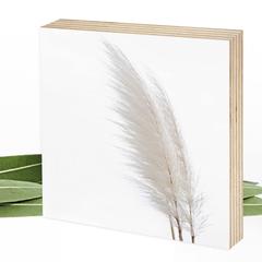 Fotografie Pampasgras - weiß - zauberhaftes Wunderpixel® Holzbild 15x15x2cm