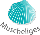 
          Muscheliges