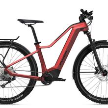 Flyer Goroc2 2.10 Gents /  Panasonic 750 WH / RH S / Red-Black von Flyer
