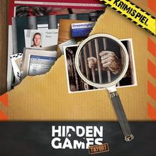 Hidden Games:Ein perfekter Plan - Pegasus Spiele / Hidden Games von Pegasus Spiele
