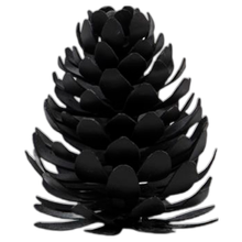 Namensschildhalter "Pinus" in schwarzer Antike von House Doctor von House Doctor