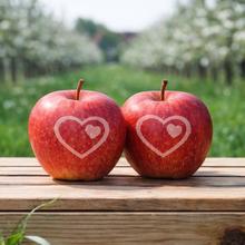 Liebesäpfel Steige 15x von Obstland Ehlers