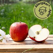 BIO Boskoop Apfel 8KG von Obstland Ehlers