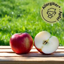 Santana® Apfel 8KG von Obstland Ehlers