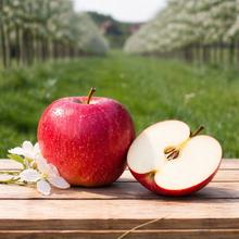 Bio Wurtwinning 2.2KG von Obstland Ehlers