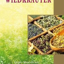 Die Heilkraft der Wildkräuter von Verlag Silberschnur