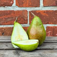 Gute luise 2.2KG von Obstland Ehlers