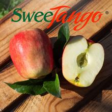 SweeTango Apfel 2.2KG von Obstland Ehlers
