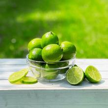 Limetten 10 Stk. von Obstland Ehlers